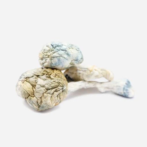 Alien Bubbles Magic Mushrooms Alien Bubbles Magic Mushrooms