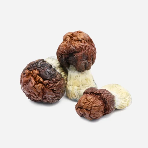Bluey Vuitton Magic Mushrooms Bluey Vuitton Magic Mushrooms
