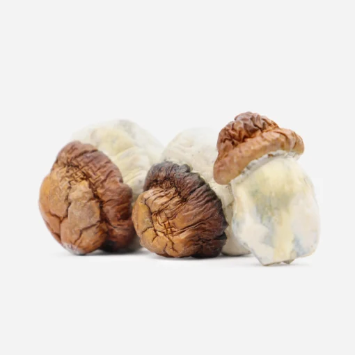 Code Blue Magic Mushrooms Code Blue Magic Mushrooms